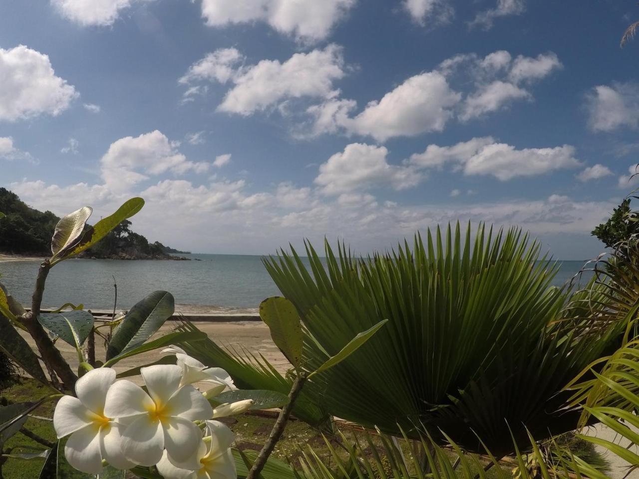 Dolphin Bay Beach Resort Ko Pha Ngan Ngoại thất bức ảnh